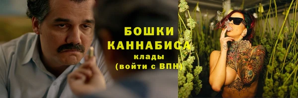 шишки Абаза