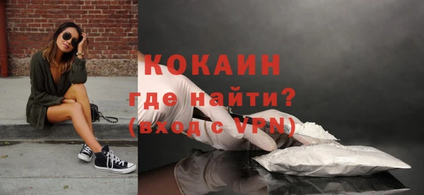 шишки Абаза