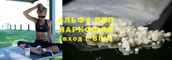 шишки Абаза