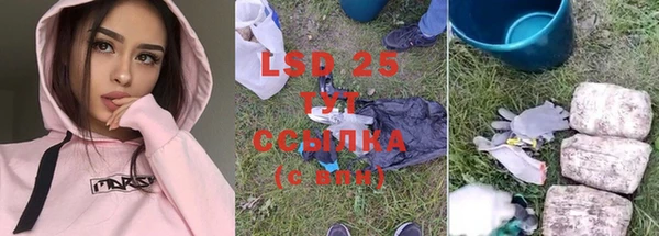 шишки Абаза