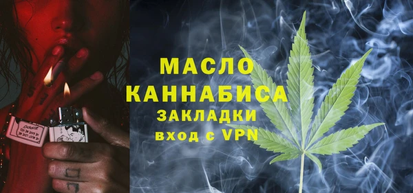 шишки Абаза