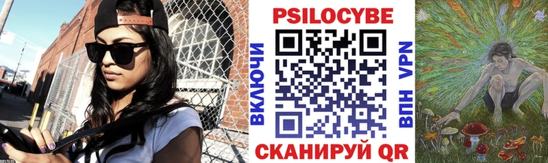 купить наркотики цена Суздаль кракен ССЫЛКА Псилоцибиновые грибы Psilocybe