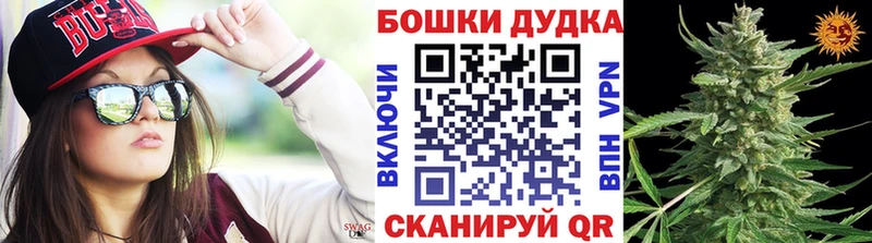 Бошки Шишки семена где купить наркоту Суздаль